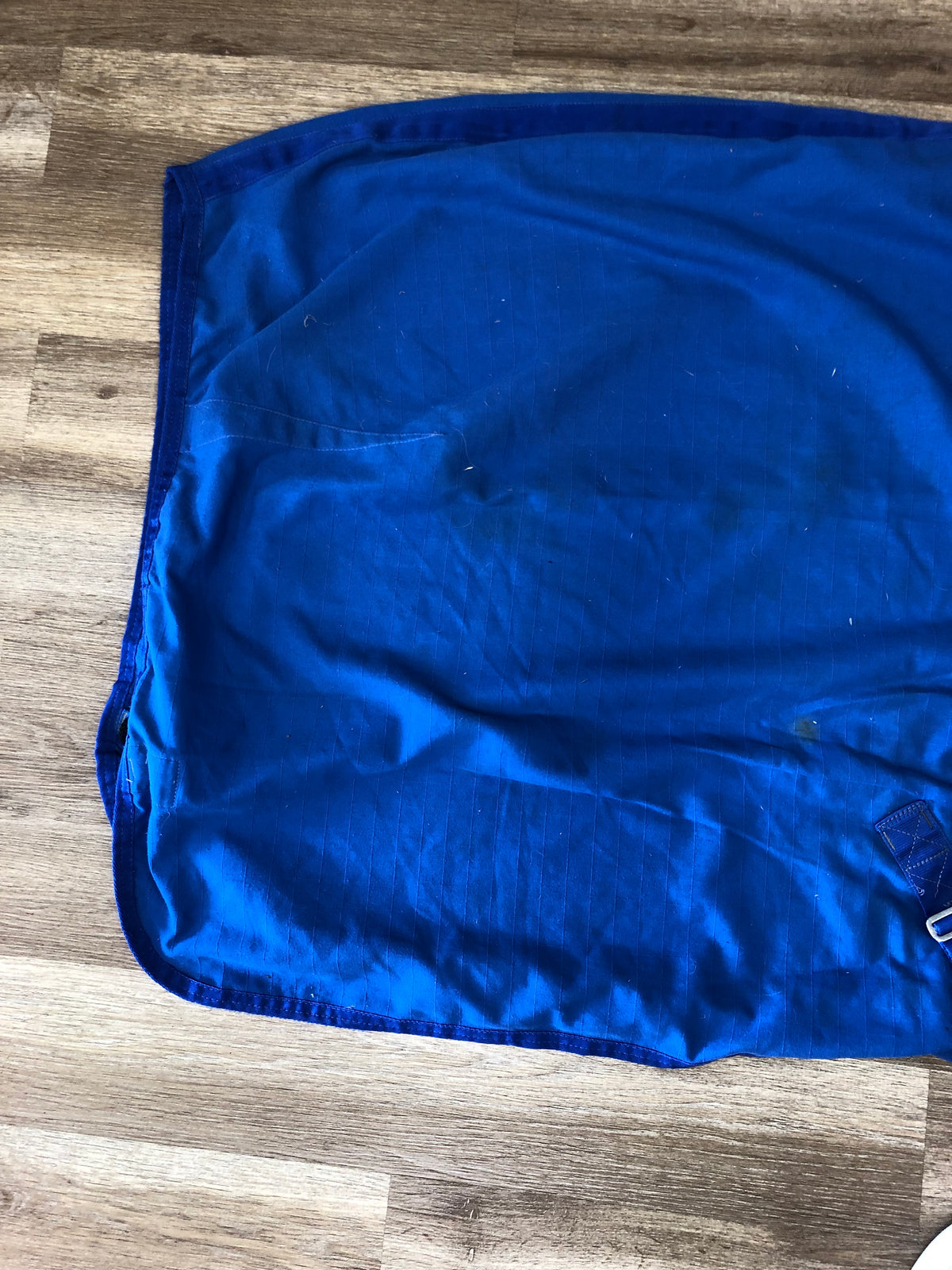 Blue Cotton Stable Sheet - 78”