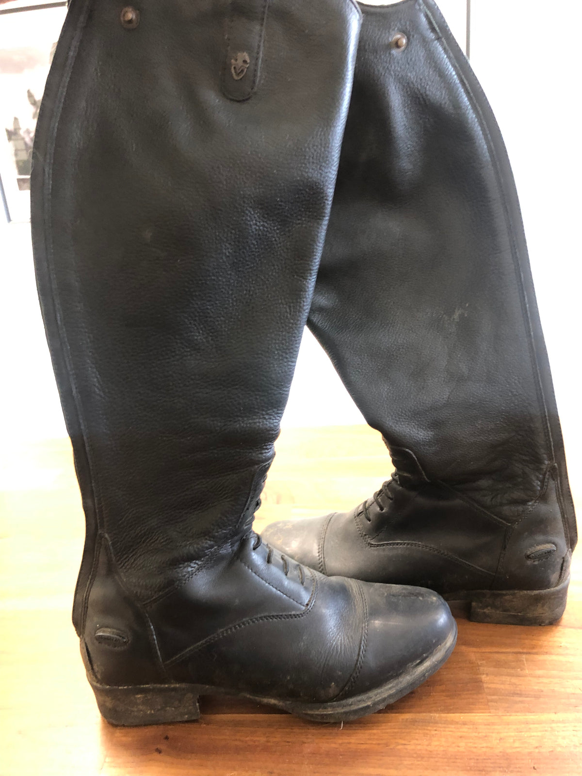 Fine Used Shires Giannna Tall Boot - 7R