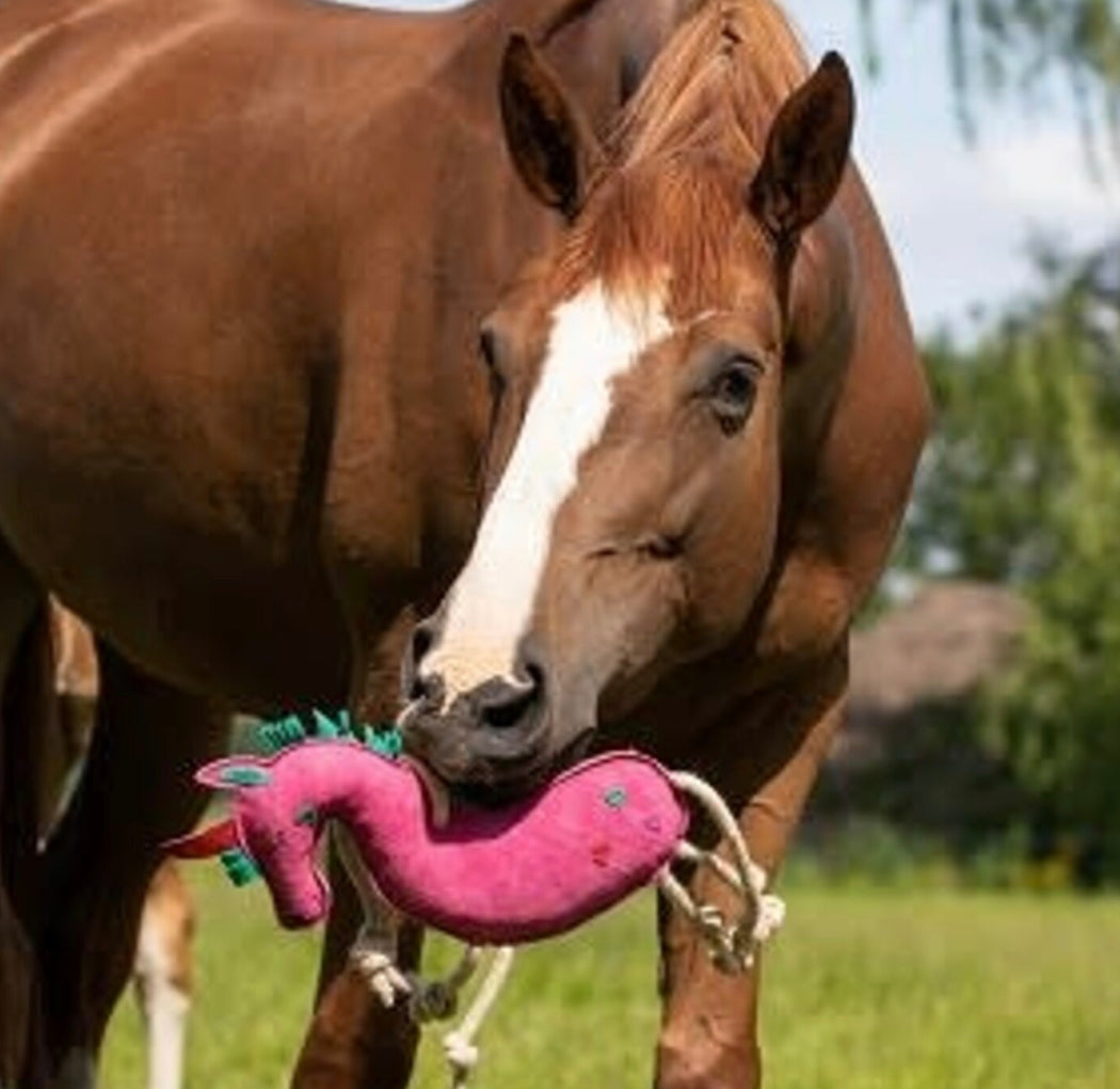 QHP Horse Stall Toy - Horse & Hound Tack Shop 
