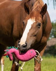 QHP Horse Stall Toy - Horse & Hound Tack Shop 