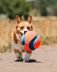 Chuckit!® Kick Fetch™ Ball Dog Toy - Horse & Hound Tack Shop 