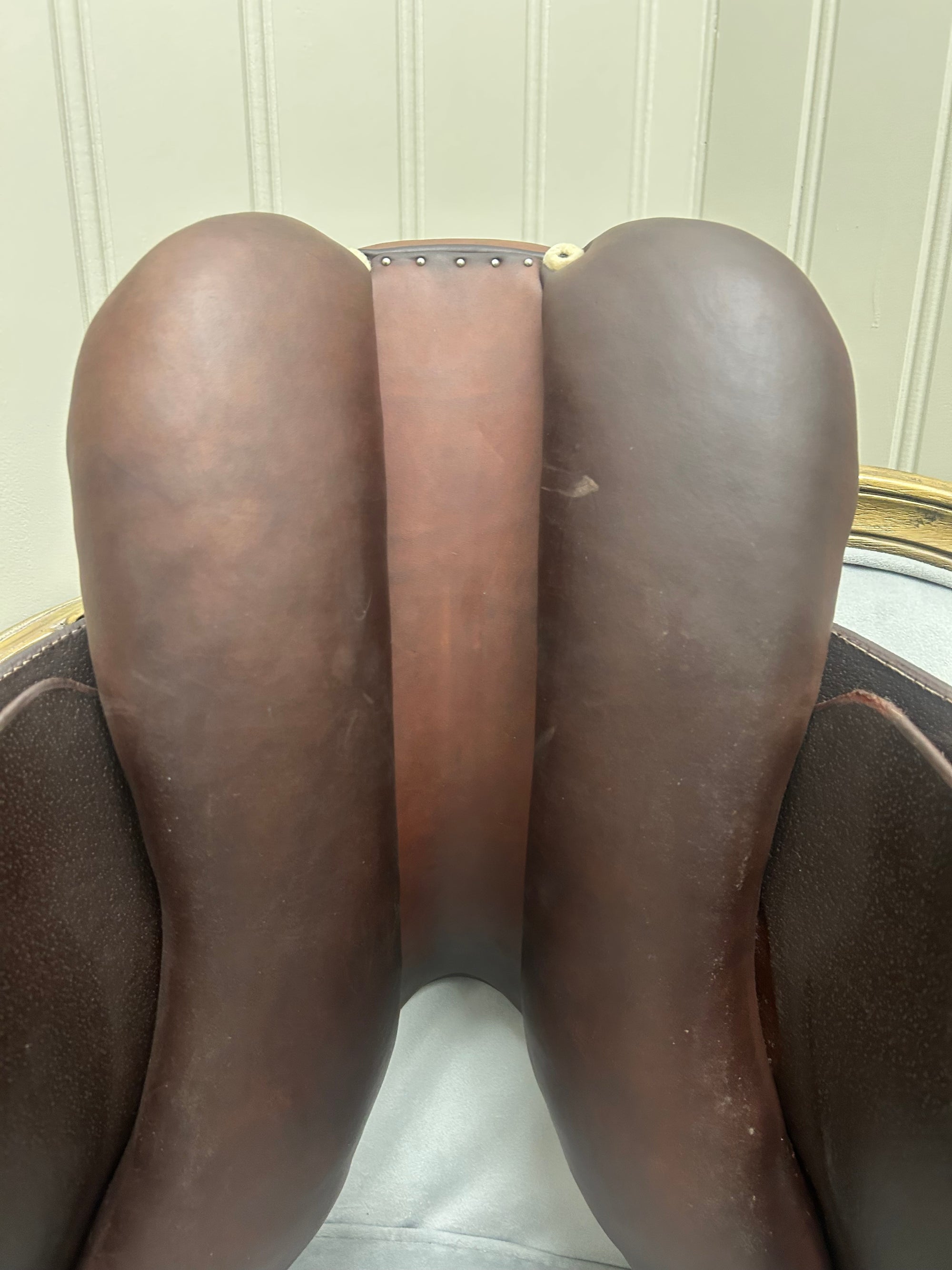 2023 Skylla by Antares Jump Saddle 16.5” - Horse &amp; Hound Tack Shop 