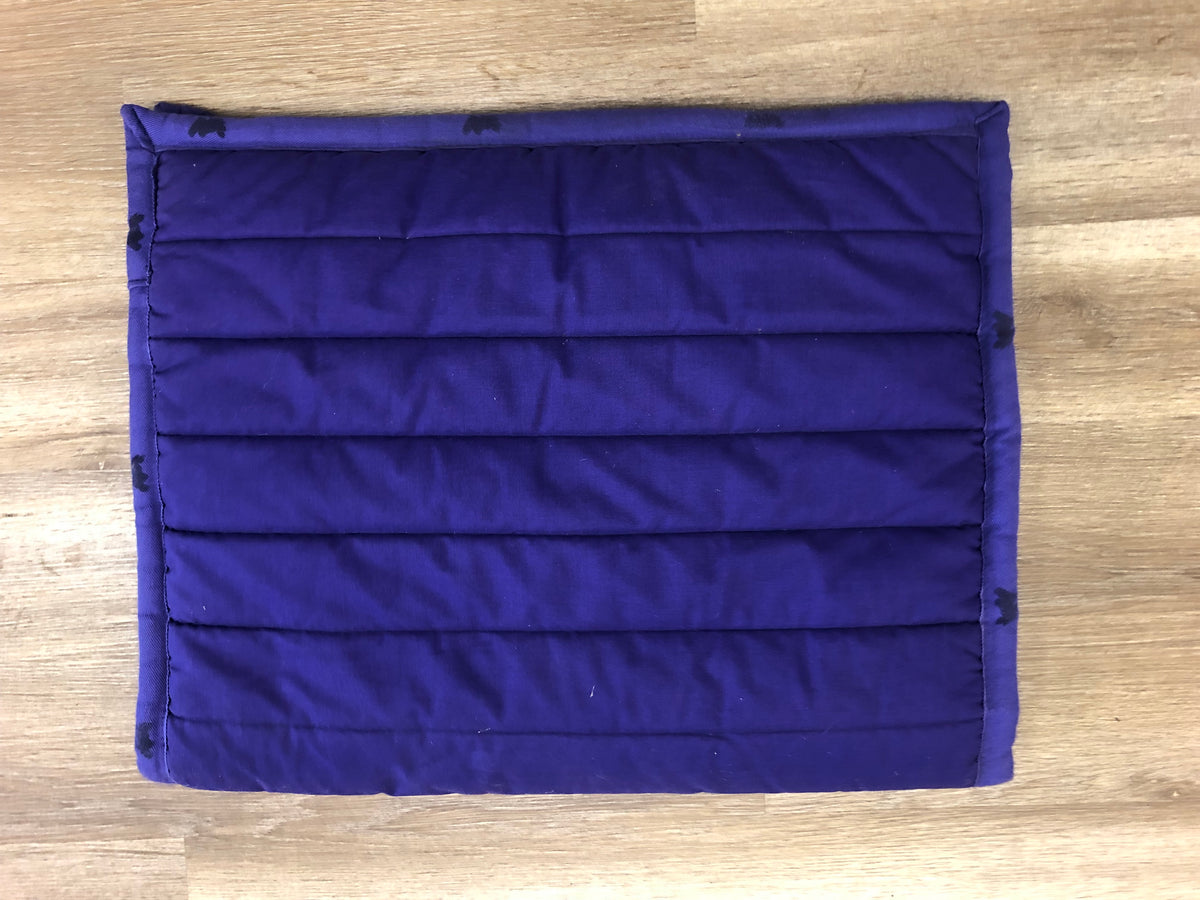 Fine Used PollyPad - Purple