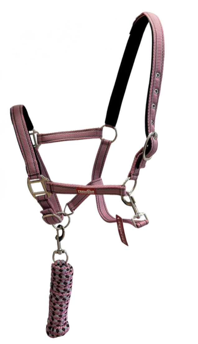 Premiere Halter Set - Horse & Hound Tack Shop 
