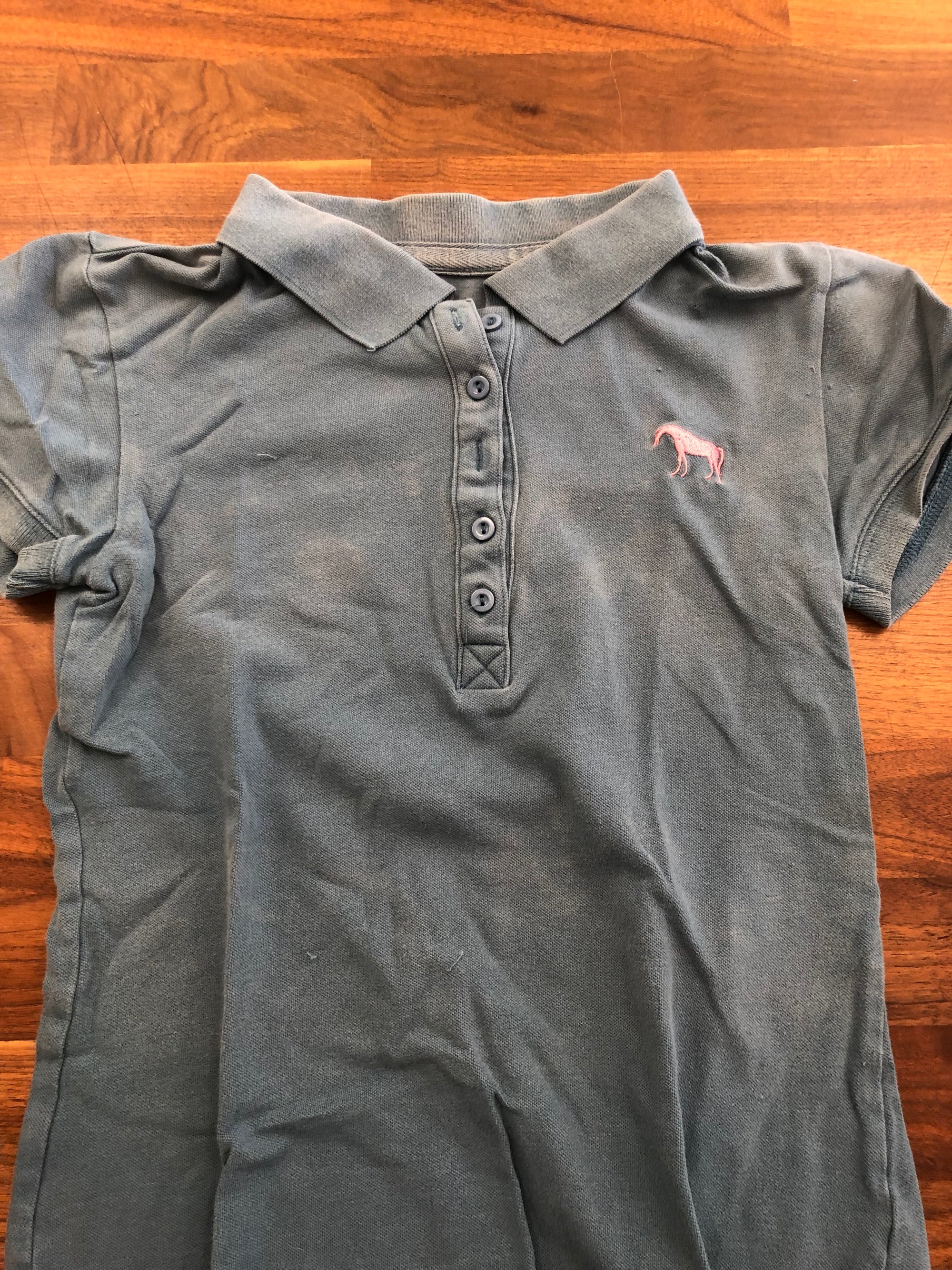 Aerion Blue-Gray Polo - XS
