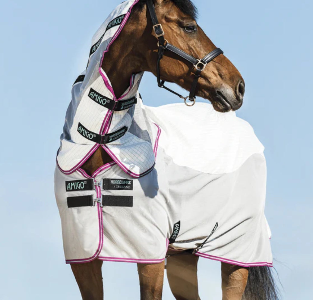 Amigo Airflow - Mini - Horse & Hound Tack Shop 