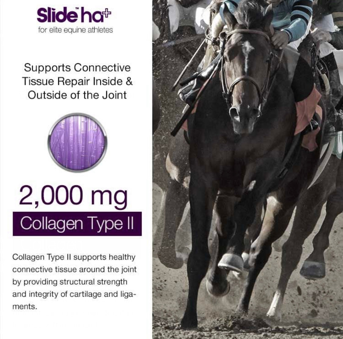 Slide HA+ 2kg - Horse & Hound Tack Shop 
