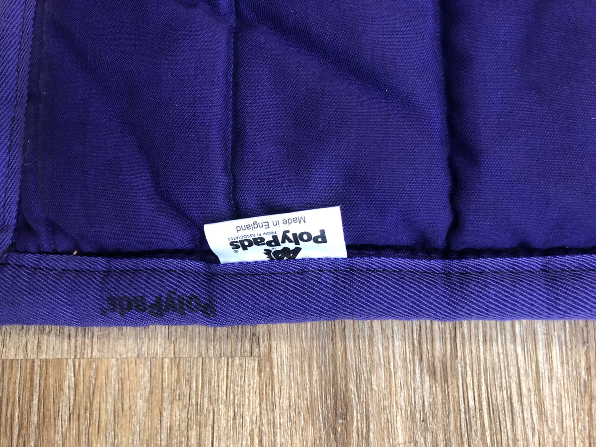 Fine Used PollyPad - Purple