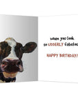 “A Moo Point” Birthday Card - Horse & Hound Tack Shop 