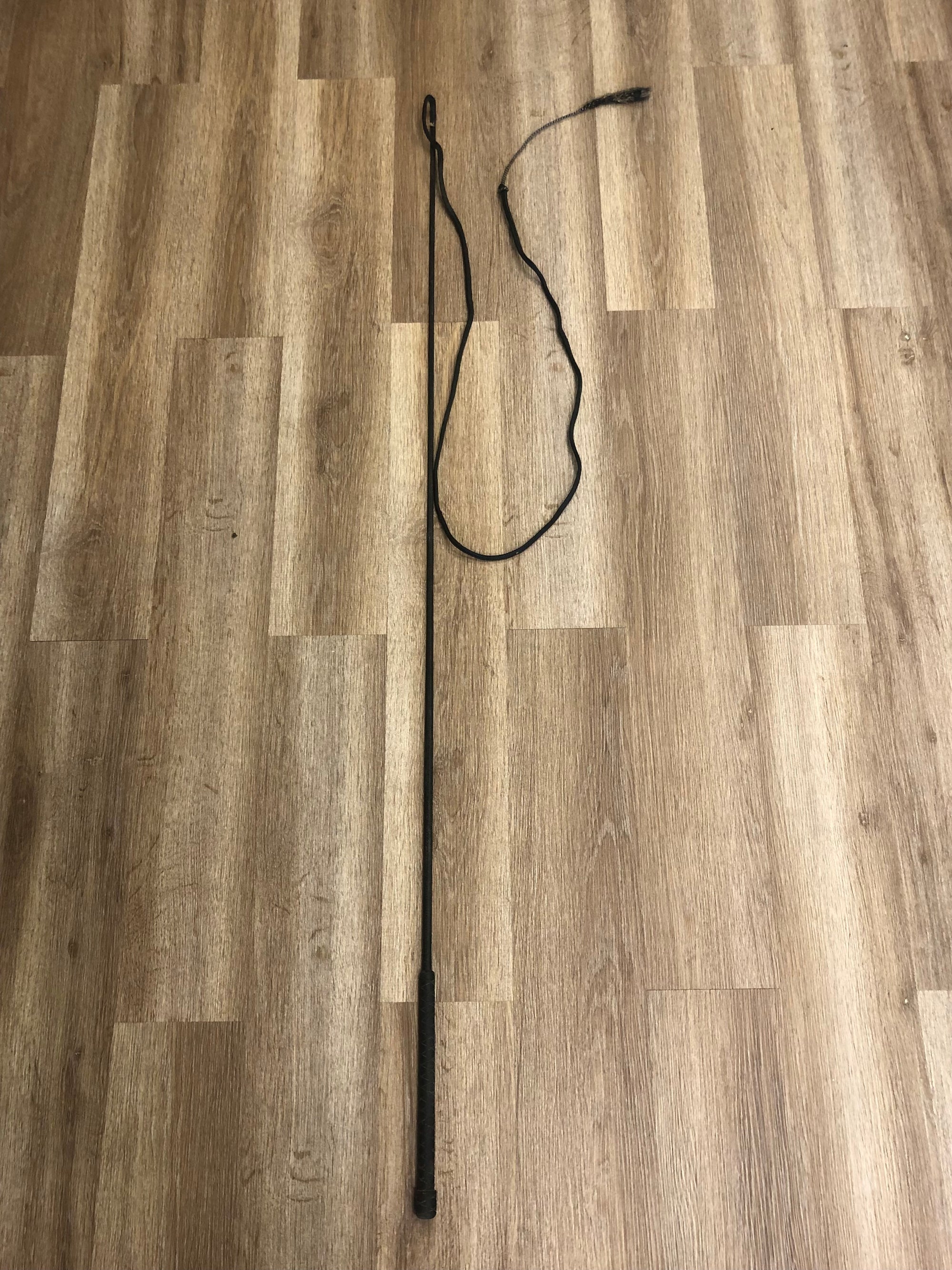 Lunge Whip