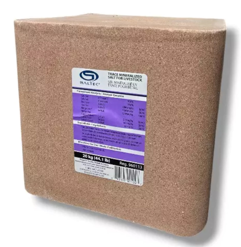 Saltec Trace Mineral Salt Block 20kg - Purple Label - Horse & Hound Tack Shop 