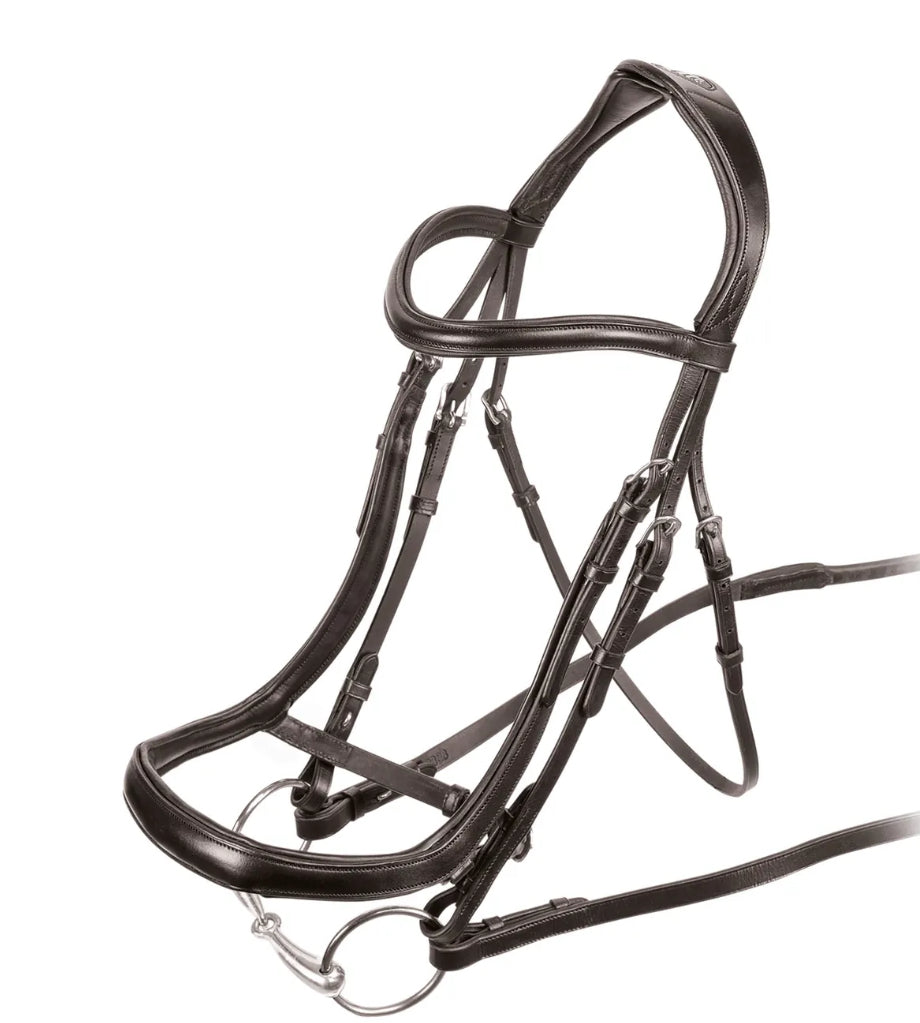 Shires Rapida Velociti Ergonomic Caveson Bridle