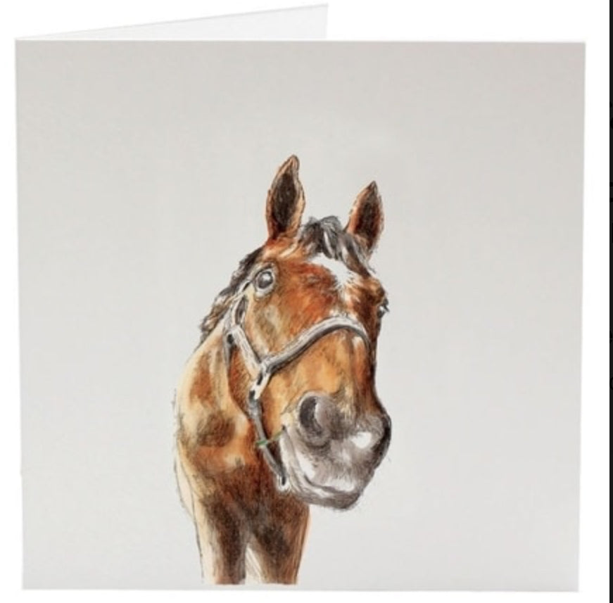 Greeting Cards - Horse &amp; Hound Tack Shop 