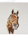 Greeting Cards - Horse & Hound Tack Shop 