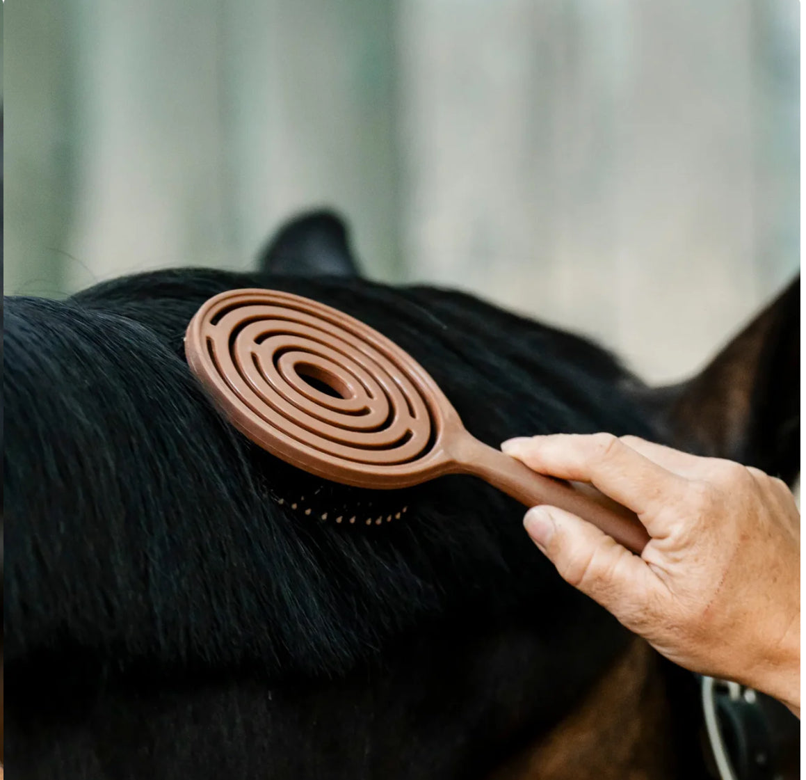 Horseware Mane & Tail Brush - Horse & Hound Tack Shop 