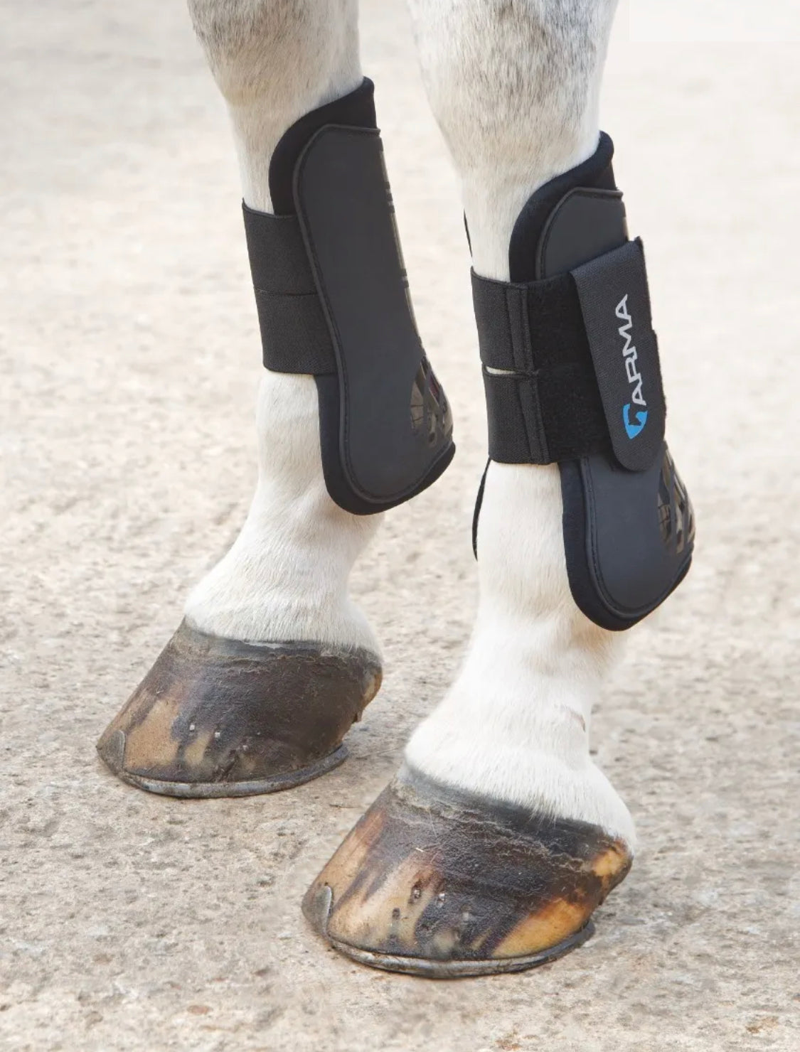 Shires arma clearance bell boots