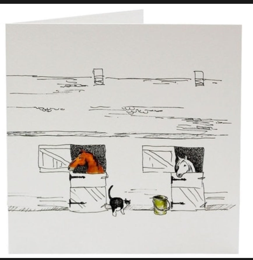 Greeting Cards