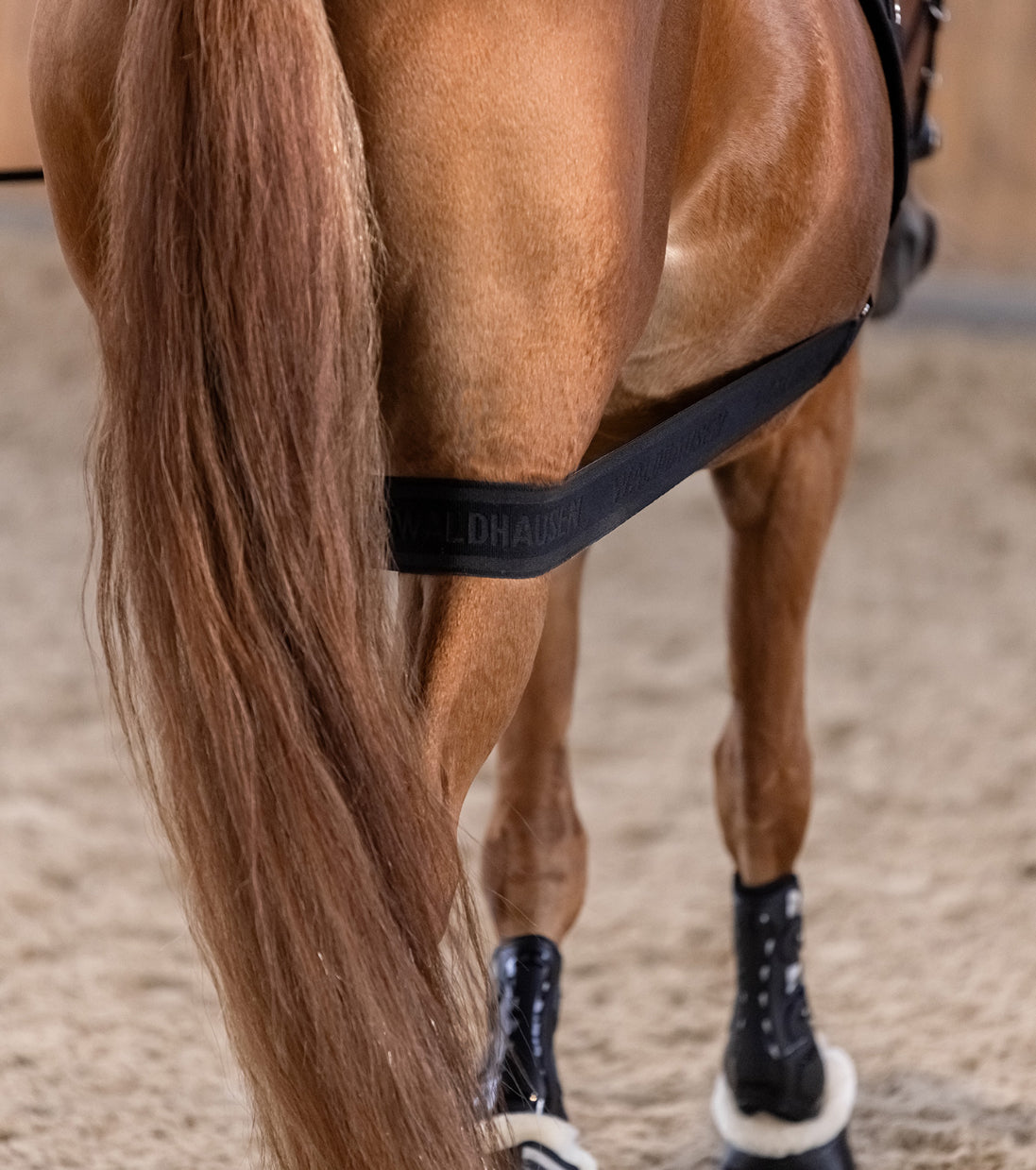 Waldhausen Body Bandage - Horse &amp; Hound Tack Shop 
