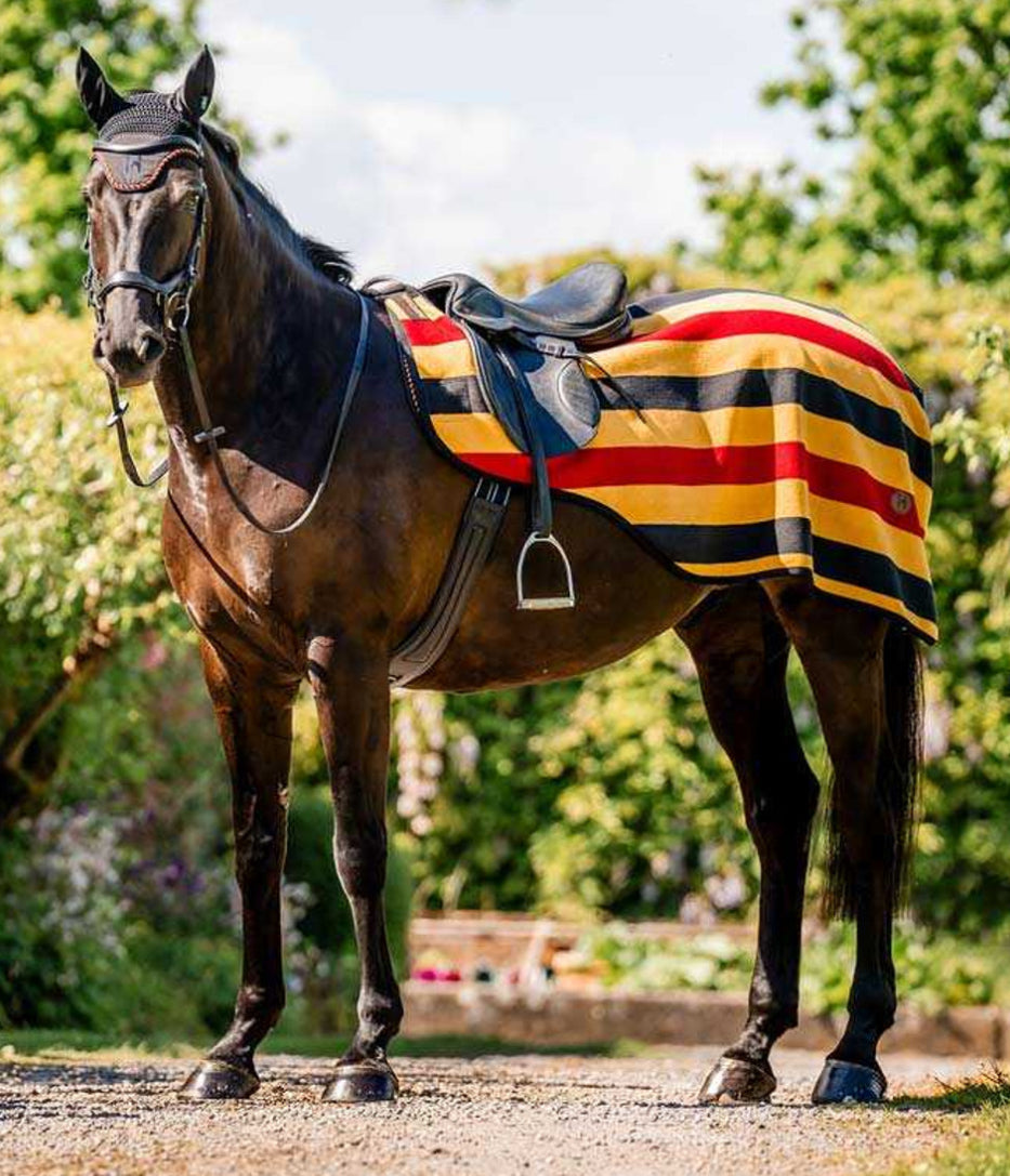 Horseware Newmarket Fleece Exercise Sheet (Quarter Sheet)