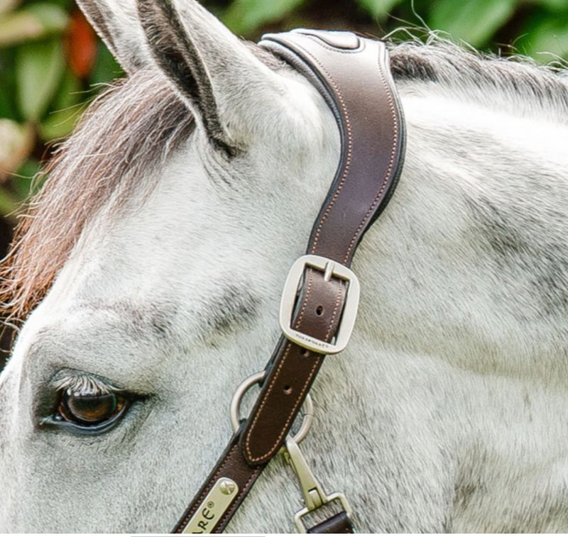 Horse & Hound Tack Shop & Pet Supply Midhurst, Ontario