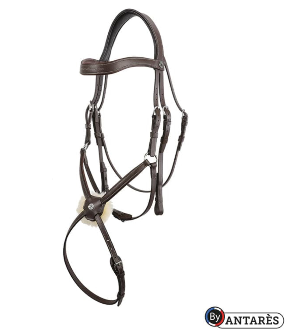 Antares Signature Figure 8 Bridle - Horse & Hound Tack Shop 