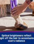 Farnam Vetrolin White 'N Brite - Horse & Hound Tack Shop 