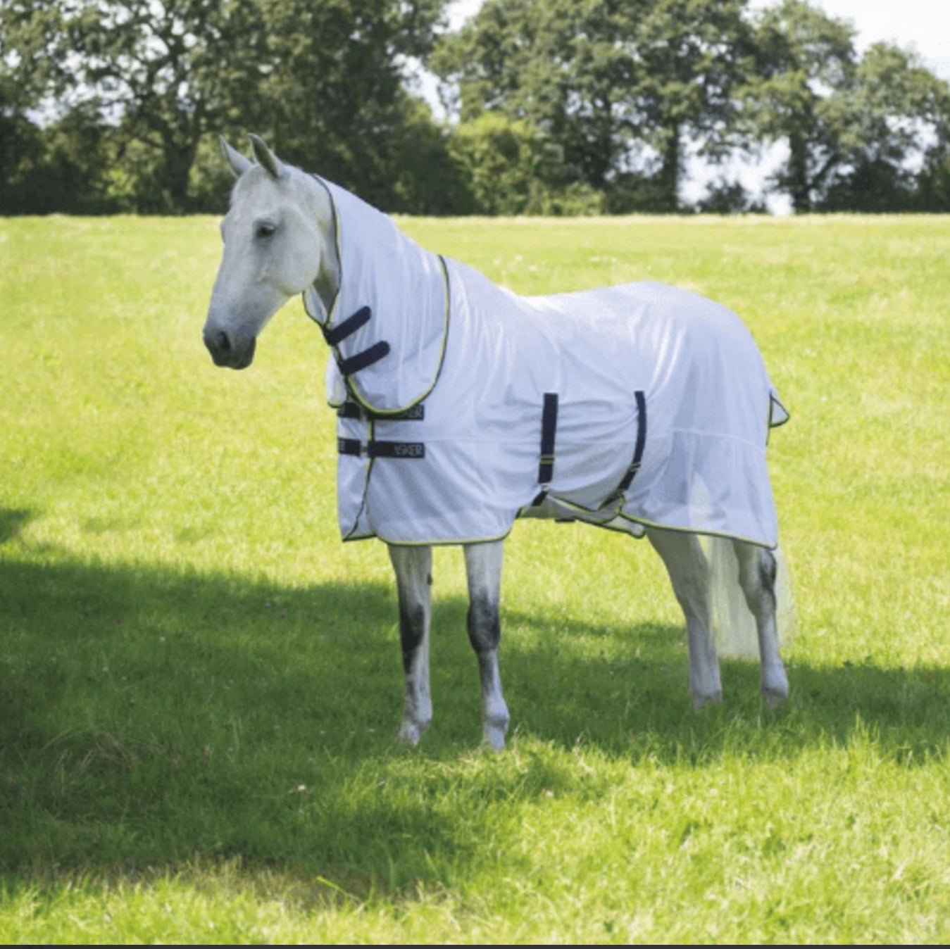 Shires Asker Fly Sheet Set with Neck