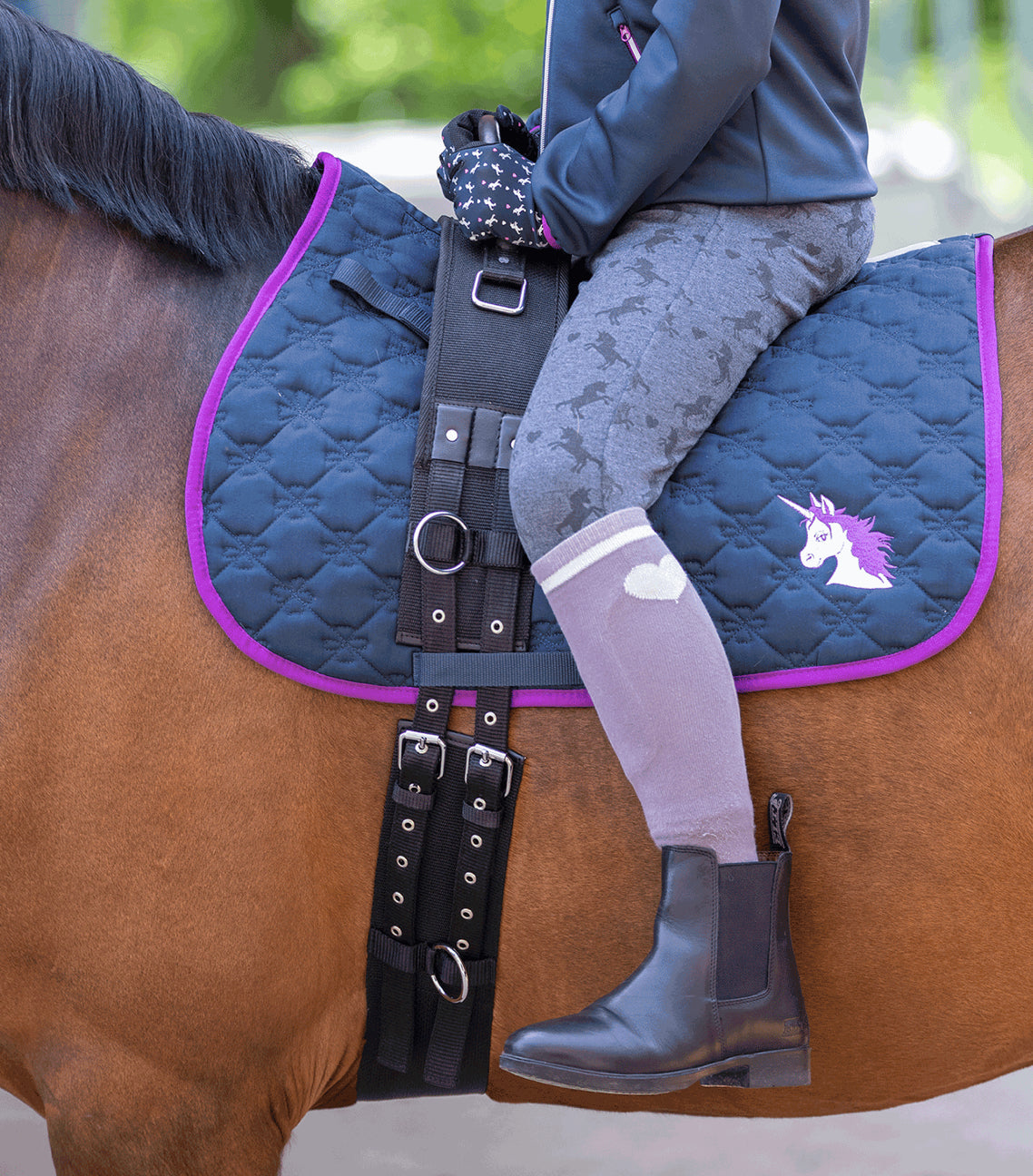 Waldhausen Lunging Surcingle with Handle - Horse &amp; Hound Tack Shop 