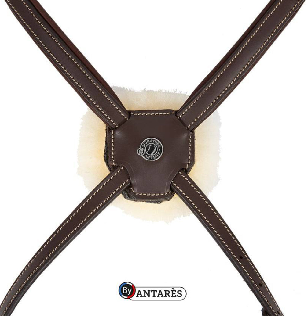 Antares Signature Figure 8 Bridle - Horse & Hound Tack Shop 