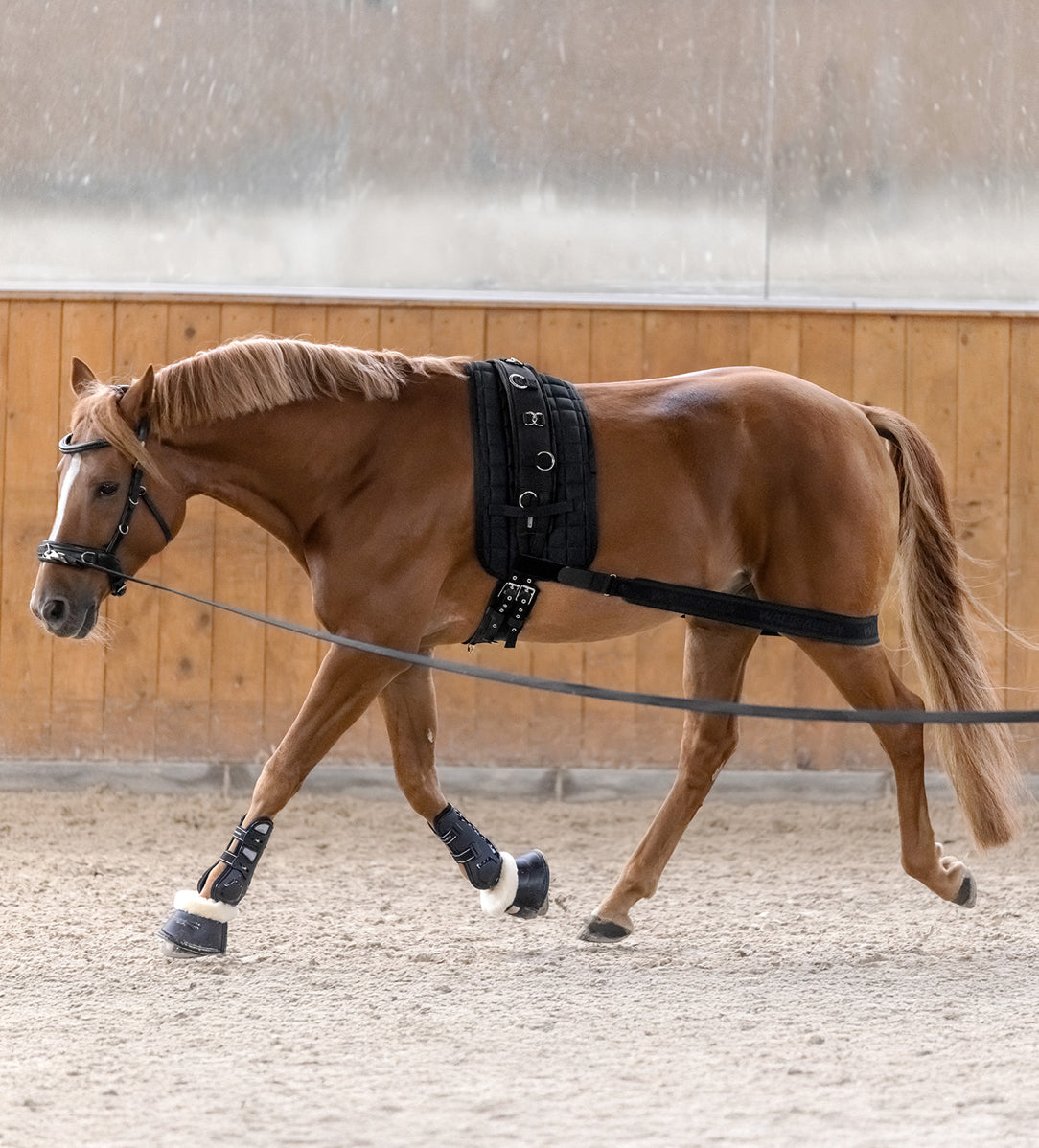 Waldhausen Body Bandage - Horse &amp; Hound Tack Shop 