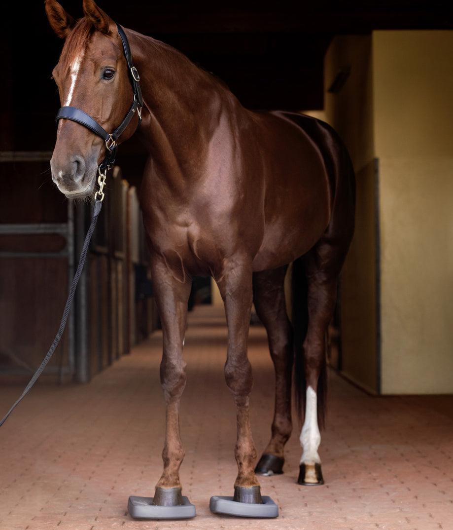 Waldhausen Health + Care Balance Pads - Horse &amp; Hound Tack Shop 