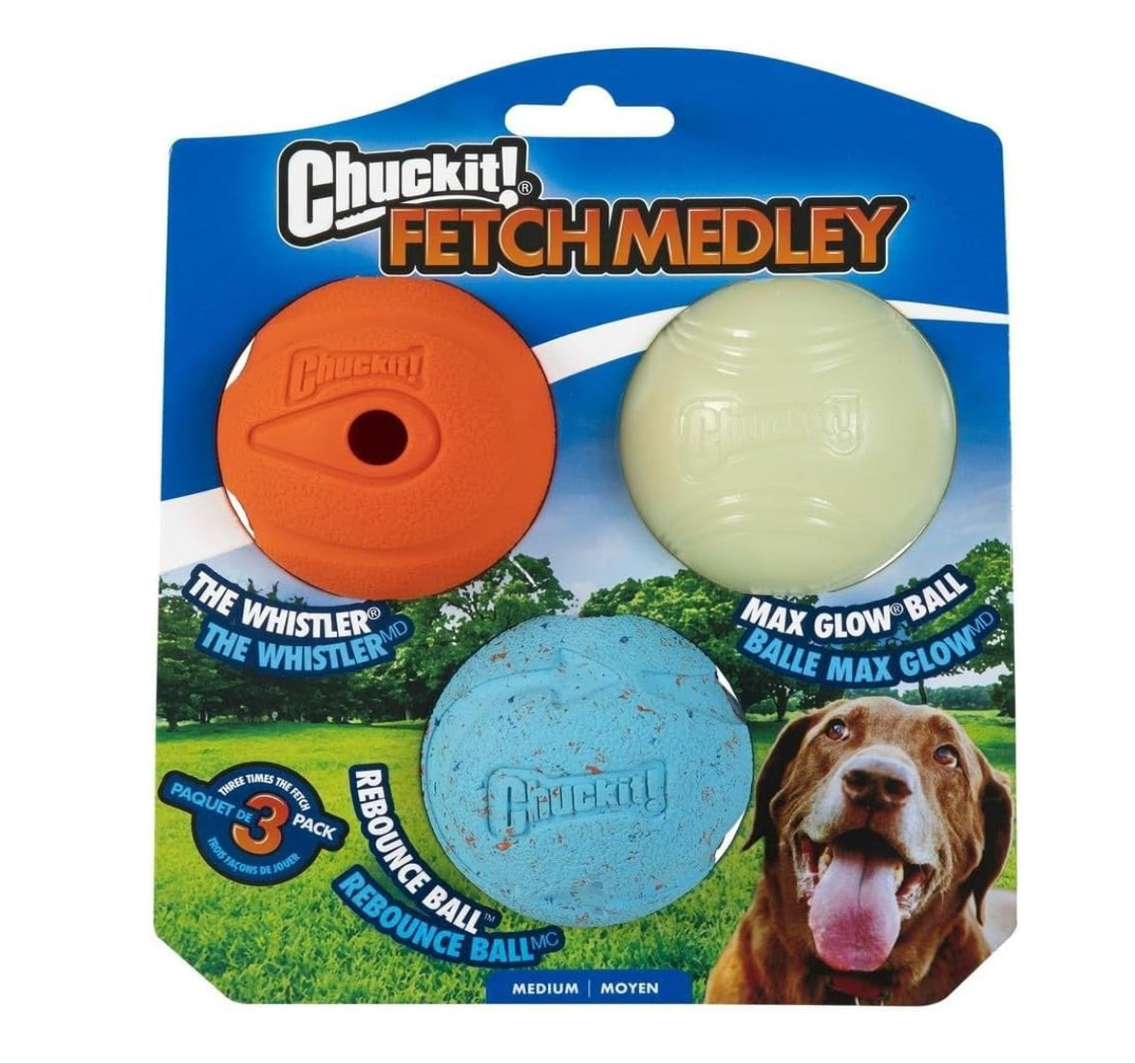 Chuck it! Fetch Medley