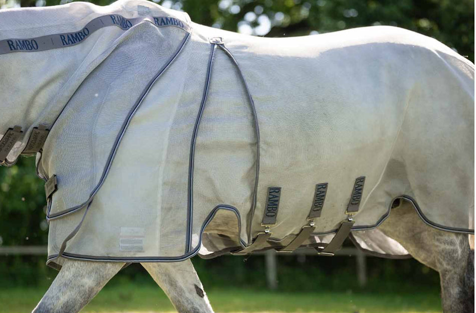 Rambo Optimo Protector Plus - Horse & Hound Tack Shop 