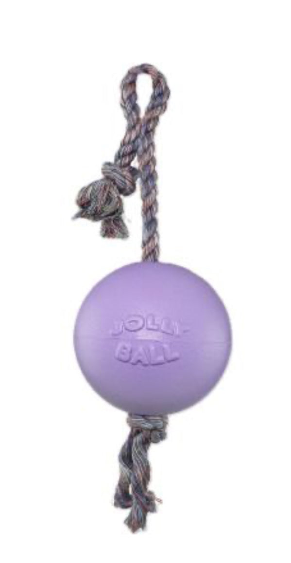 Jolly Pet Romp-N-Roll Jolly Ball