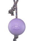 Jolly Pet Romp-N-Roll Jolly Ball