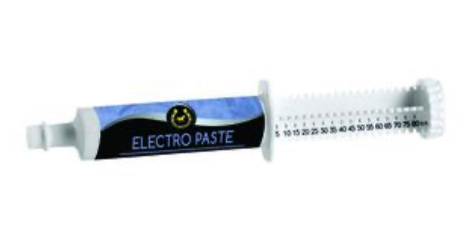 Golden Horseshoe Electro-Paste