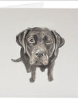 Greeting Cards - Horse & Hound Tack Shop 