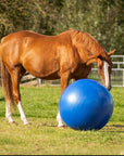 QHP Horse Paddock Ball