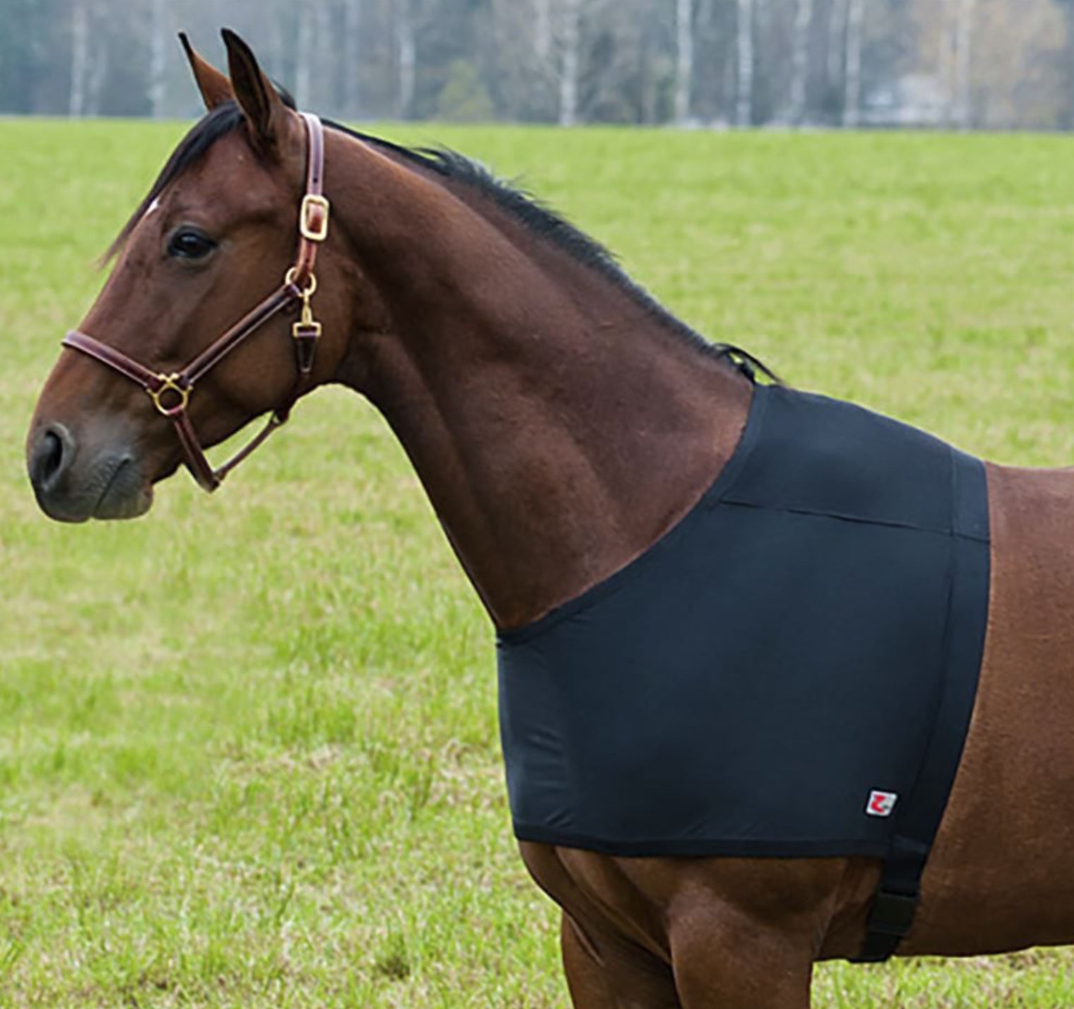 Horze ComForce Lycra Shoulder Guard | Horse & Hound Tack Shop