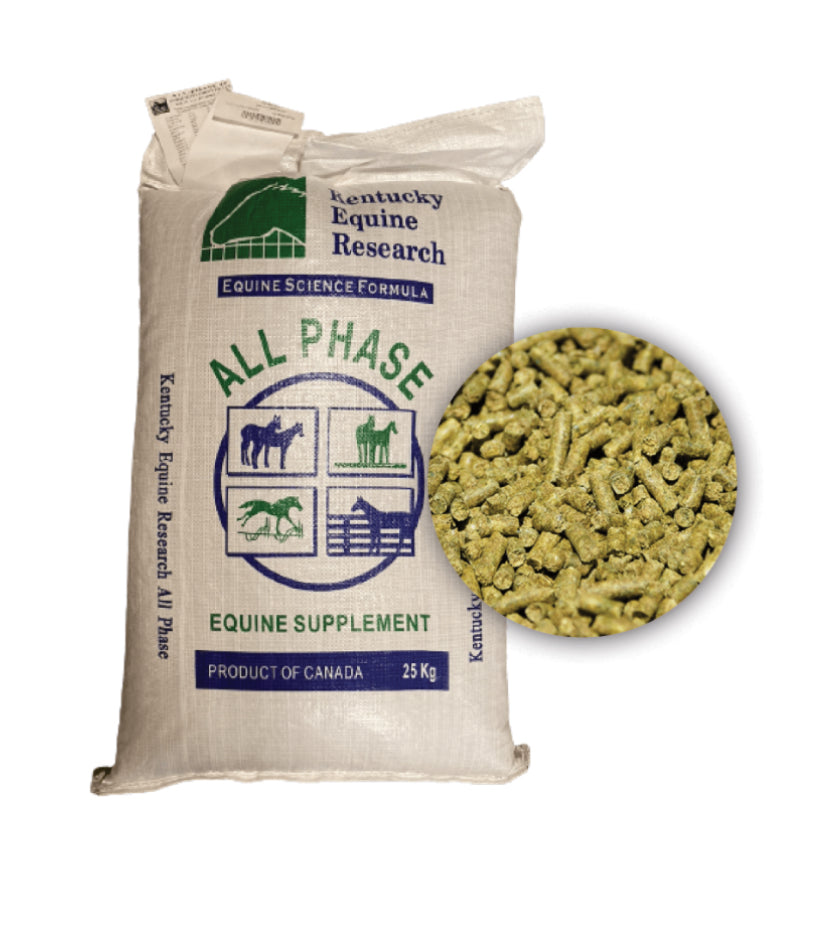 Brooks All Phase - Horse & Hound Tack Shop 