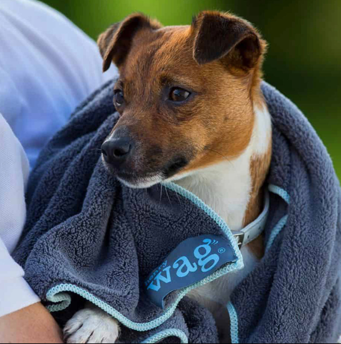 Henry Wag Pet Towel