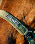 Amigo Headcollar & Leadrope Set - Horse & Hound Tack Shop 