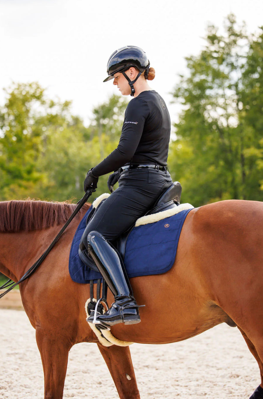 Anatomeq “Here for the Horses” Baselayer Top