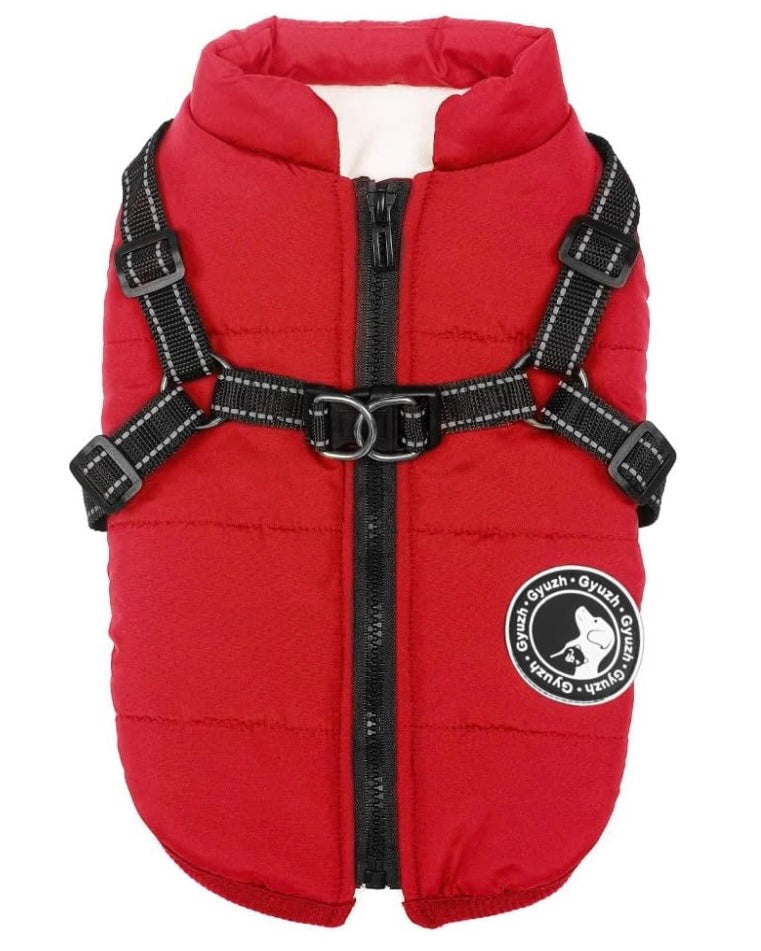 Gyuzh Dog Coat with Harness