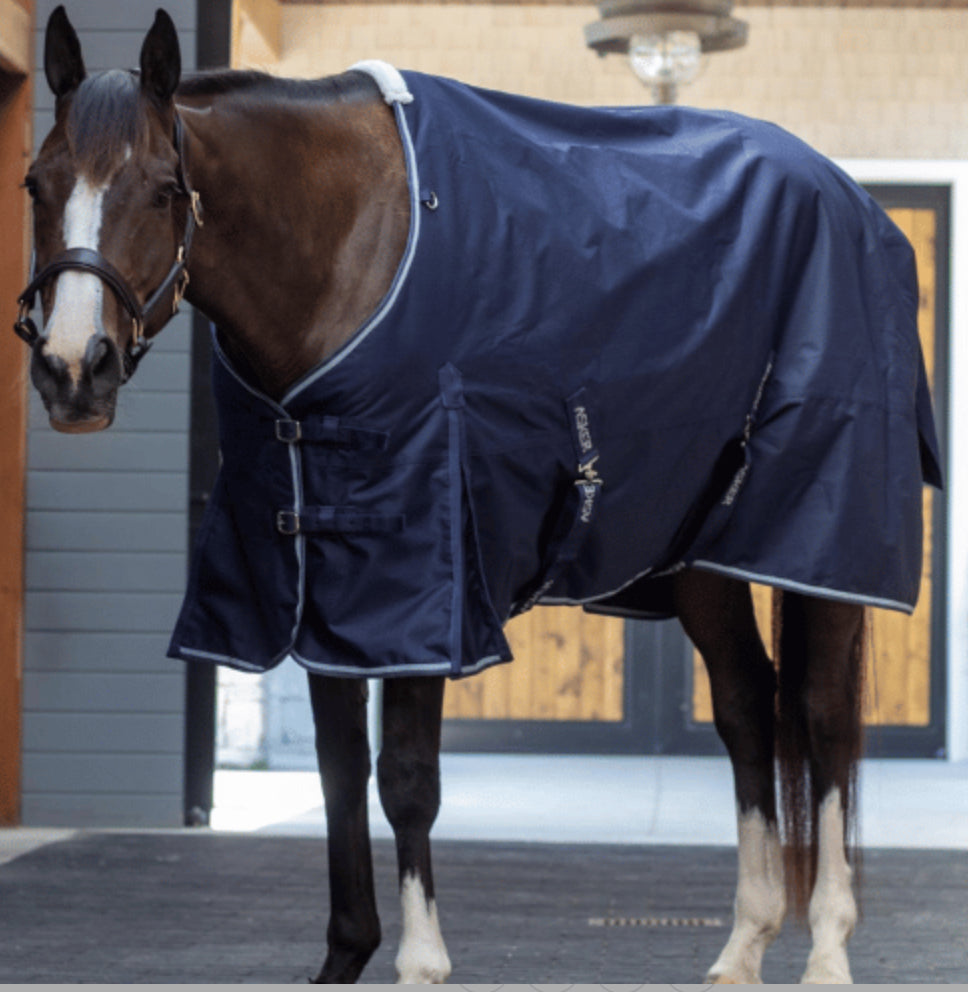 Shires Asker 100g Turnout & Neck - 600D - Horse & Hound Tack Shop 