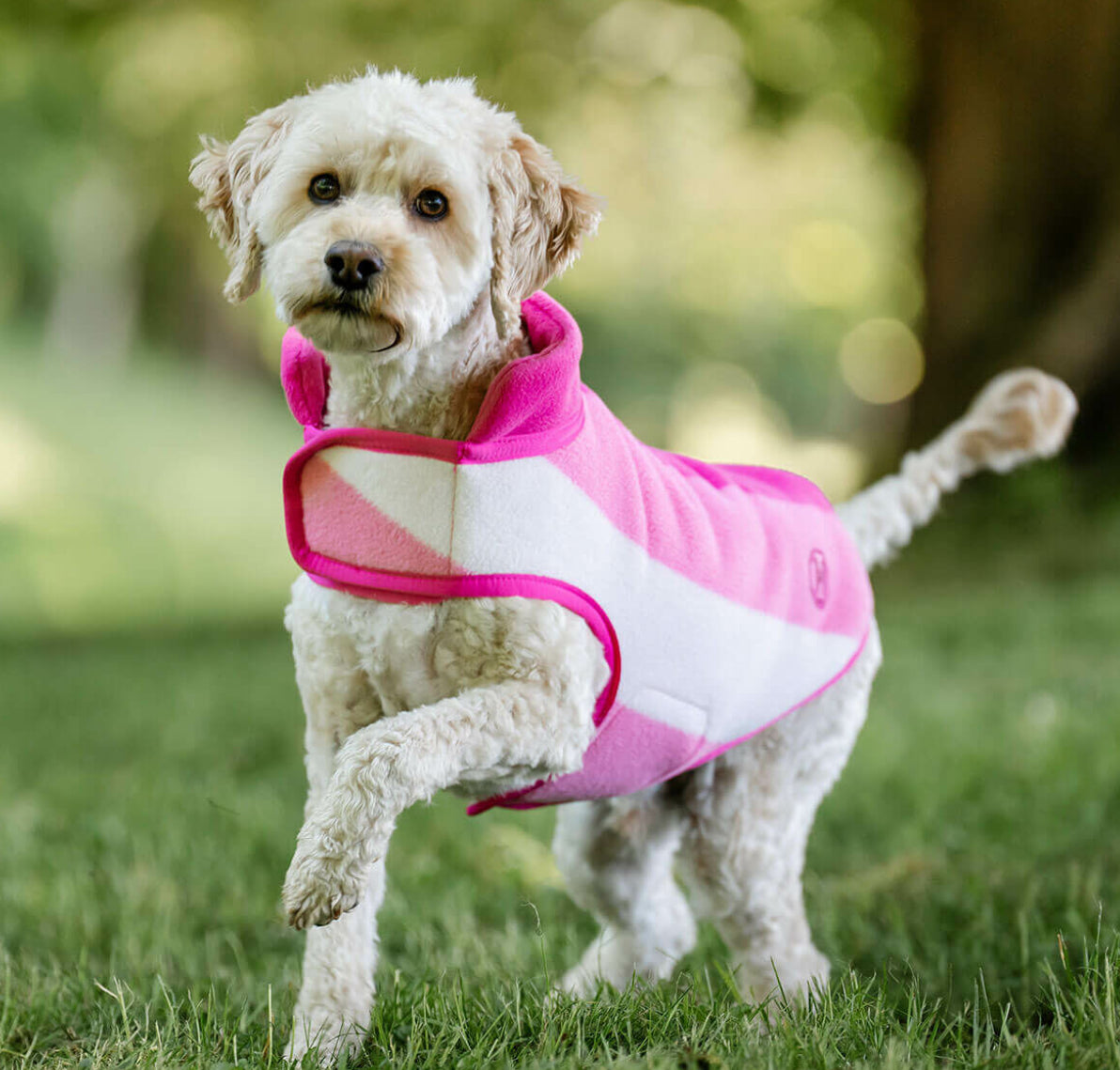 Horseware® Newmarket Dog Fleece - Horse & Hound Tack Shop 