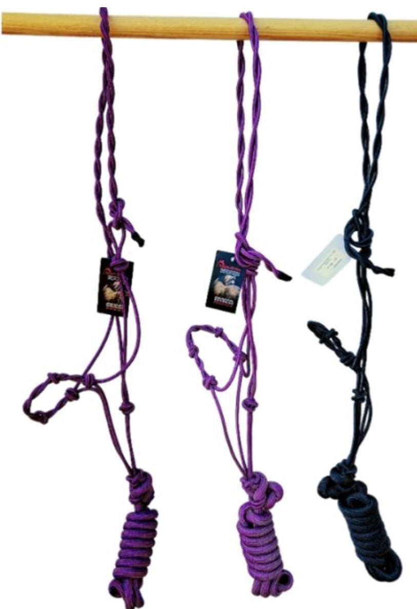 Knotted Nose Rope Halter &amp; Lead