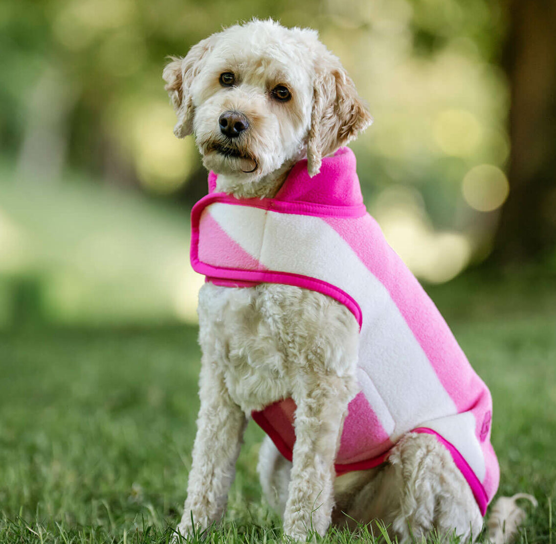 Horseware® Newmarket Dog Fleece - Horse & Hound Tack Shop 