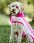 Horseware® Newmarket Dog Fleece - Horse & Hound Tack Shop 
