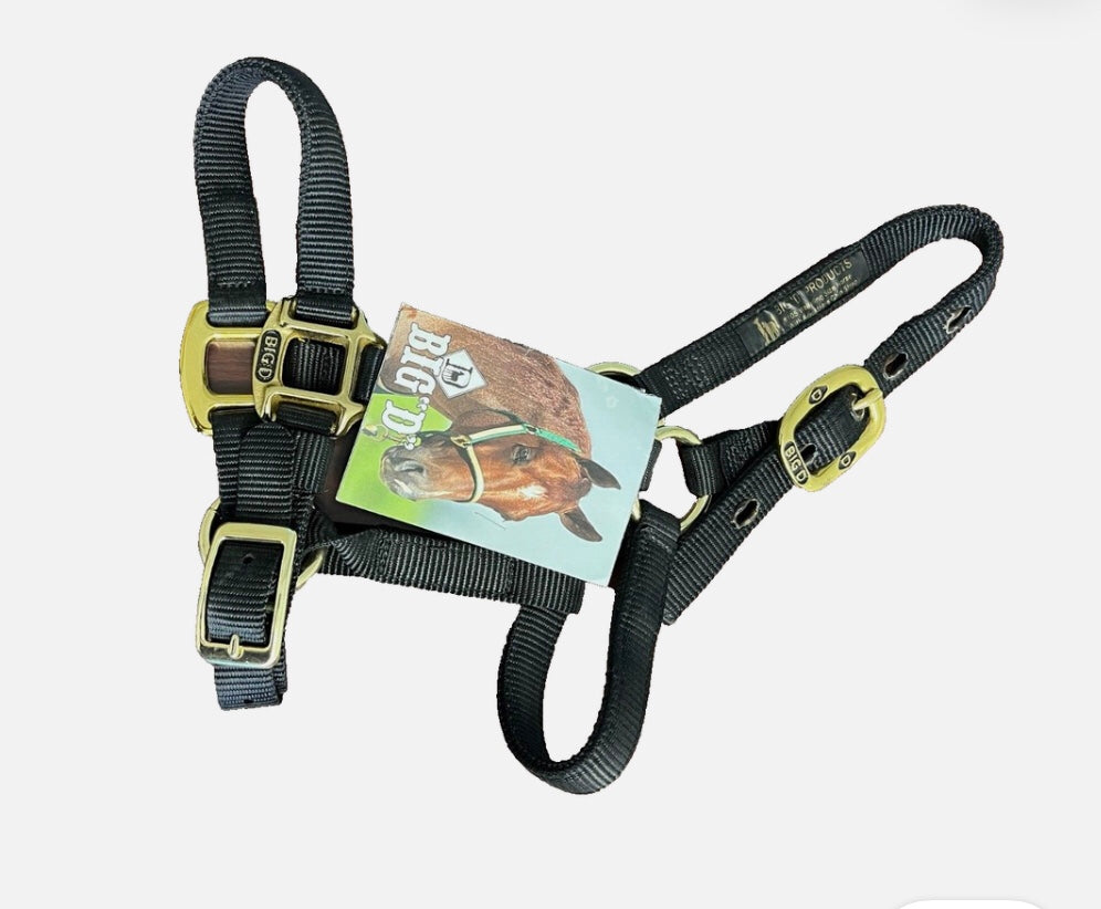 Big D Nylon Mini Halter